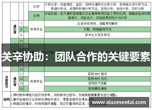 关辛协助：团队合作的关键要素